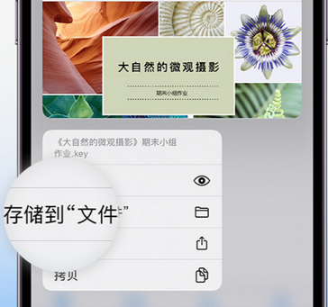 古镇镇apple维修中心分享iPhone文件应用中存储和找到下载文件