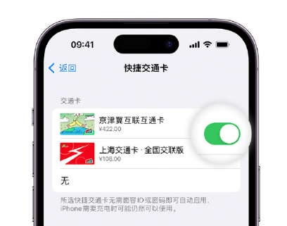 古镇镇apple维修点分享iPhone上更换Apple Pay快捷交通卡手绘卡面 