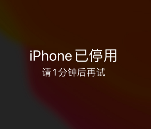 古镇镇苹果手机维修分享:iPhone 显示“不可用”或“已停用”怎么办？还能保留数据吗？ 