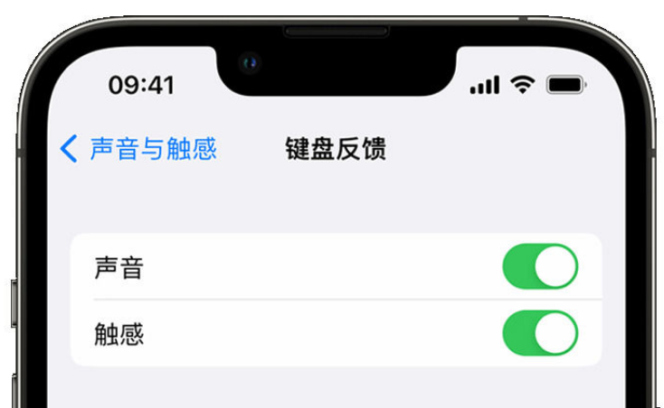 古镇镇苹果手机维修分享iPhone 14触感键盘使用方法 