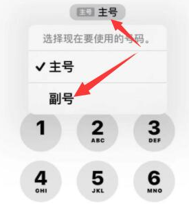 古镇镇苹果14维修店分享iPhone 14 Pro Max使用副卡打电话的方法 